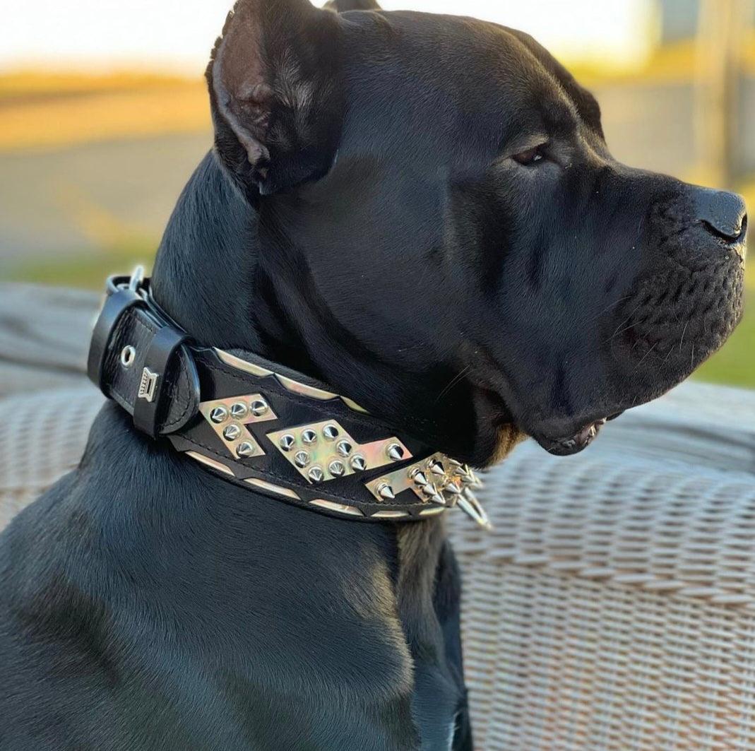 The ''Midas'' Collar Silver-2