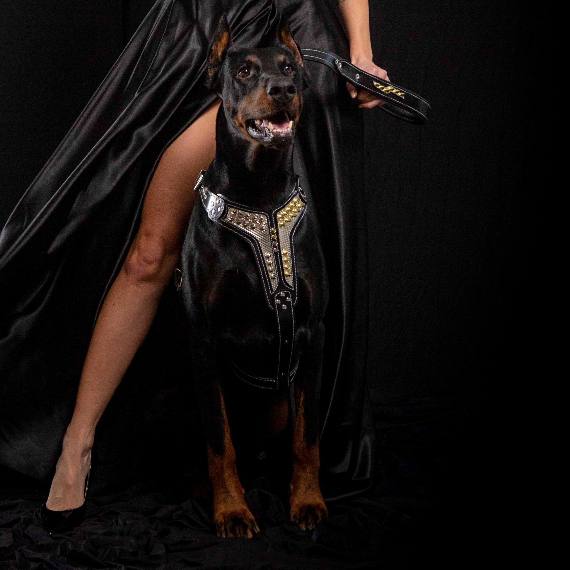 The ''Platinum'' harness-2