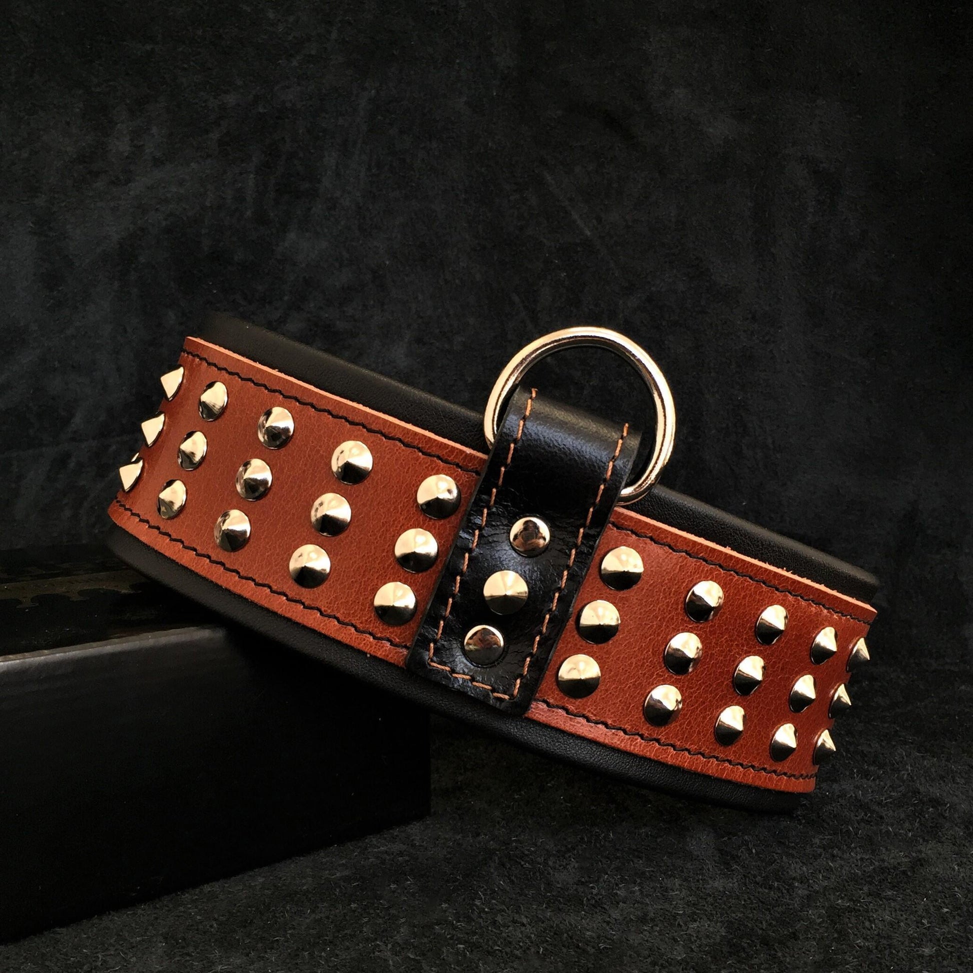 Star premium leather dog collar designed for large and giant breed dogs with reinforced metal hardware
