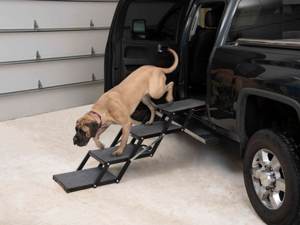 Petloader MAX dog steps extended for large and giant breed dogs entering SUV