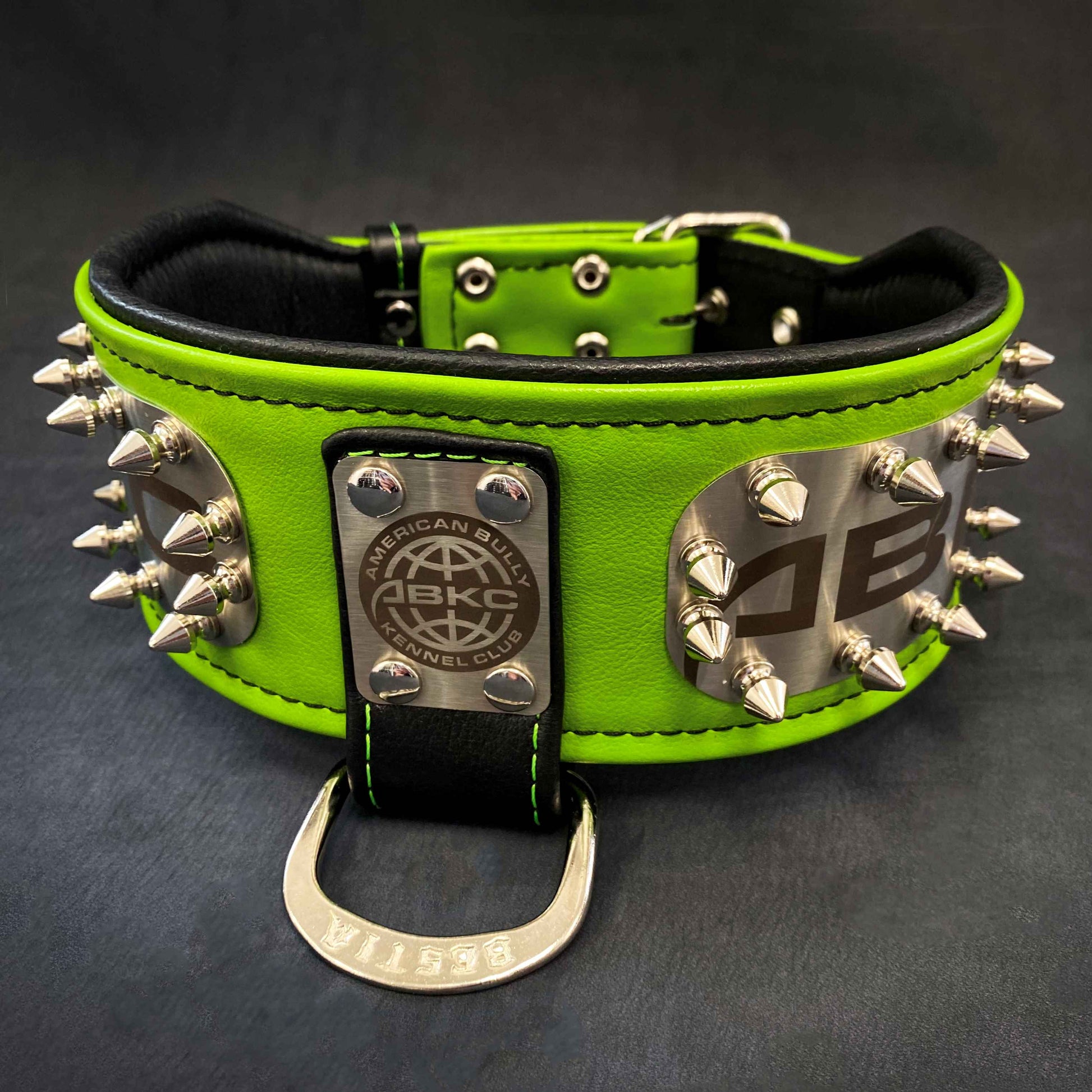ABKC premium leather dog collar designed for large and giant breed dogs with reinforced metal hardware 3