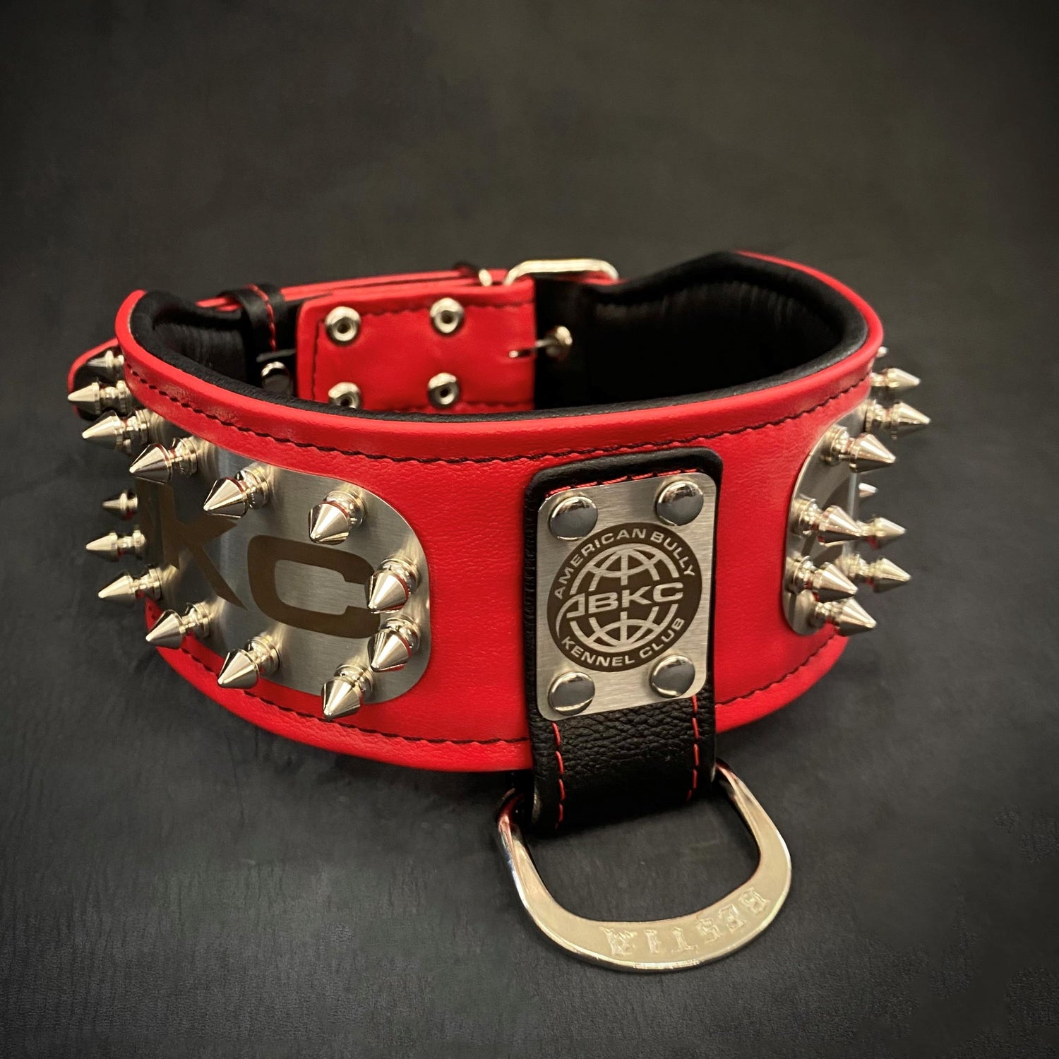 ABKC premium leather dog collar designed for large and giant breed dogs with reinforced metal hardware